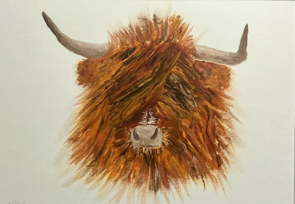Harris The Highland coo original oil painting for sale